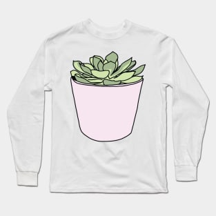 Green succulent in pink flowerpots Long Sleeve T-Shirt